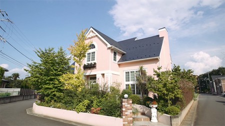 LDH_1_1