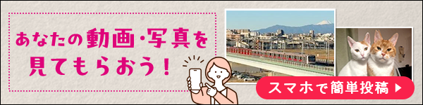 あなたが撮影した動画、写真を番組で放送