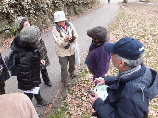 四季の森公園で自然観察会『冬を耐え抜く生き物たち』が開催されました！