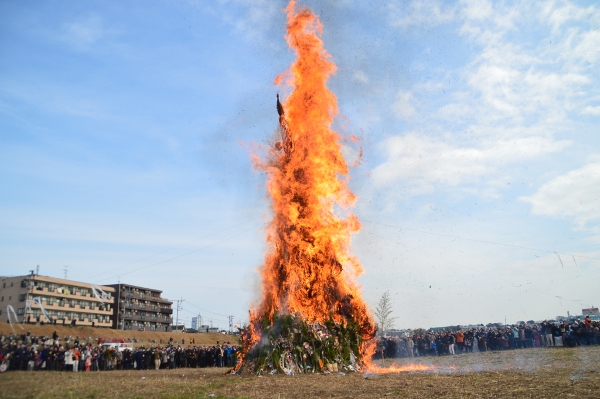 多摩川河川敷で毎年恒例の「どんど焼き」が開催されました！