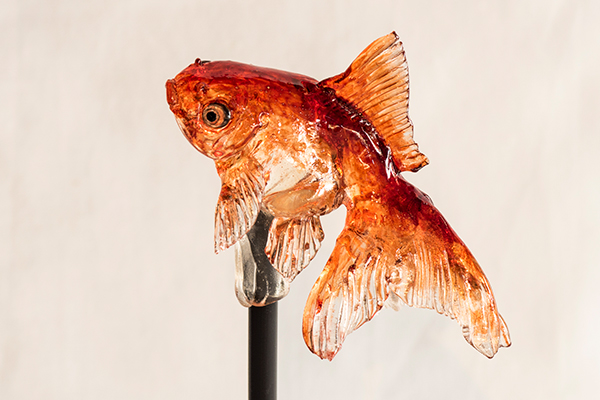 #8 飴細アメシン 金魚