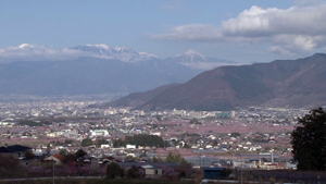 桜と桃そして富士山と南アルプス