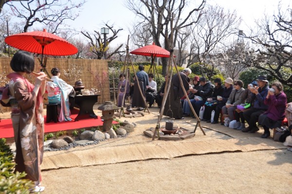 梅みごろ！ 羽根木公園で「せたがや梅まつり」