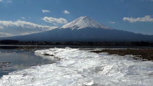 富士山づくし(河口湖、山中湖)