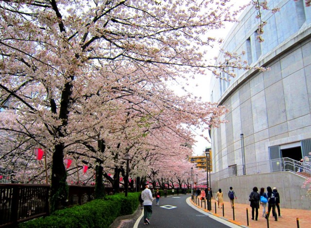 天空庭園