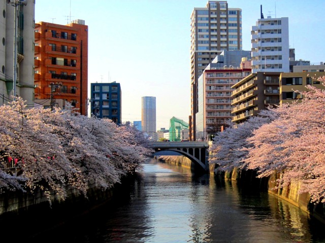 目黒新橋