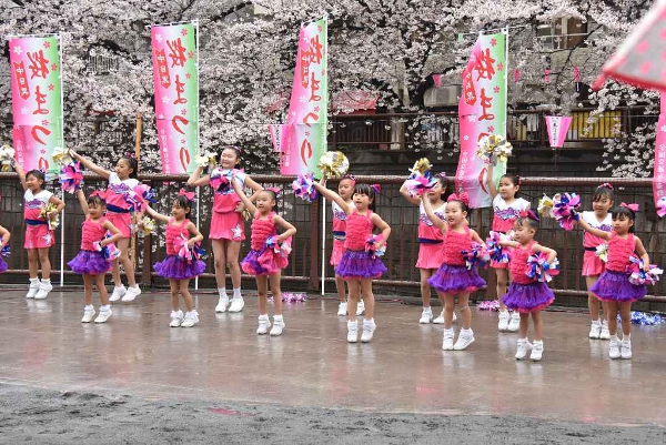 ～桜満開の目黒川で～中目黒桜まつりが開催されました！