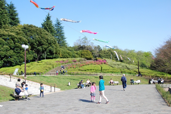 鮮やかな鯉のぼりが世田谷区内の公園で泳ぎ始めました！