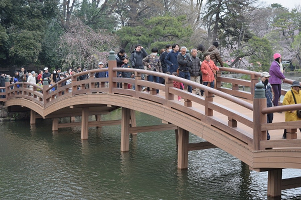 洗足池公園の「池月橋」20年ぶりのリニューアル！