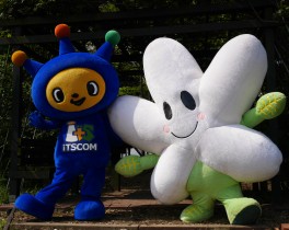 なしかちゃんと行く!　荏子田太陽公園でおさんぽ♪