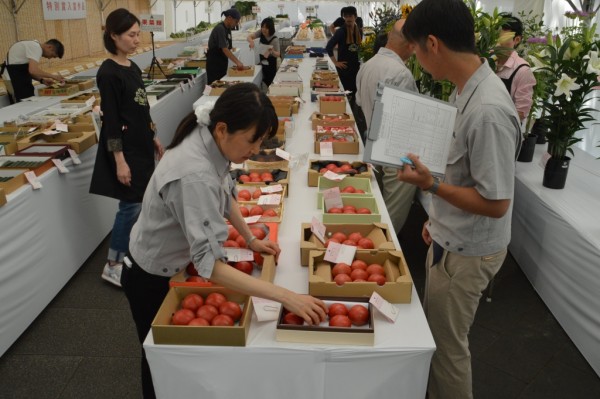 「せたがやそだち」の夏野菜を召し上がれ~第63回夏季農産物品評会