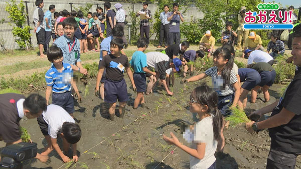 0614田植え
