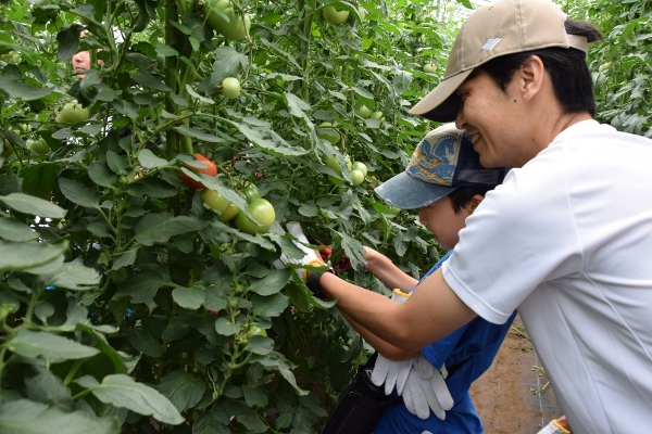 「せたがやそだち」のおいしい野菜をどっさり収穫！