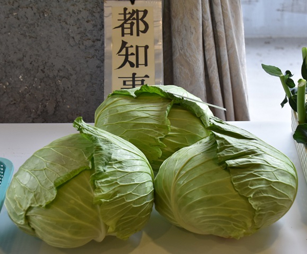 実りの秋！区内農家が育てた新鮮野菜が並ぶ♪