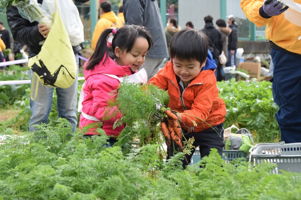 自分の手で収穫しよう！都市農地の自然のめぐみを体験