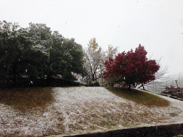 横浜 １１月の初雪 ５４年ぶり