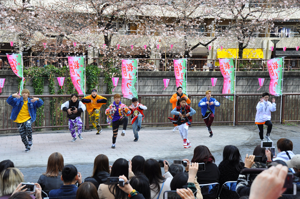 桜咲く目黒川でステージパフォーマンス！「中目黒桜まつり」