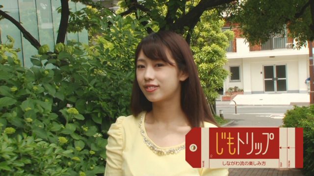 【差換え】じもとりっぷ