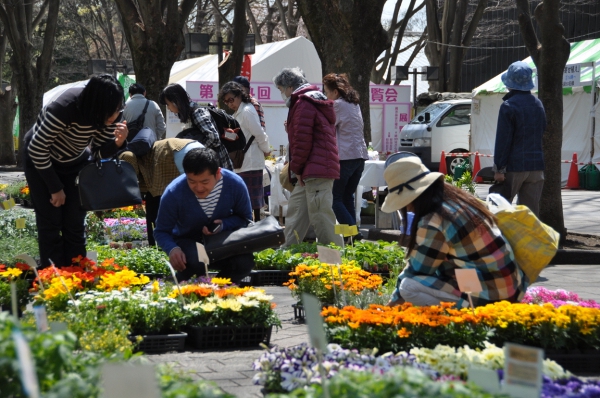 色とりどりの花満開～世田谷の花展覧会～