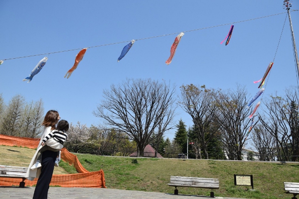 色鮮やかな鯉のぼりが泳ぎ始めました～世田谷区立公園などで約１１０匹～