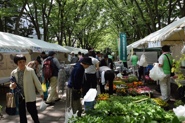 見本庭園で「南国の香りの庭」など。せたがやガーデニングフェア