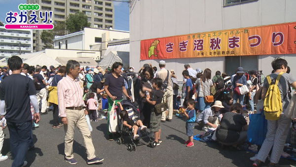さぎ沼