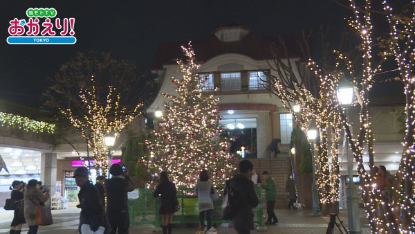 田園調布駅前広場 クリスマスツリー点灯式 ほか 12 放送内容 Itscomch イッツコムチャンネル