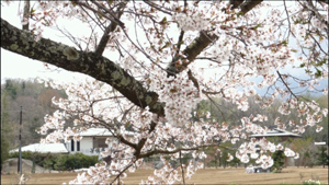 忍野八海と道の駅なるさわ