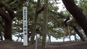 秋の撮影旅行(ご一行様荒天の中、駿河路を行く!!)