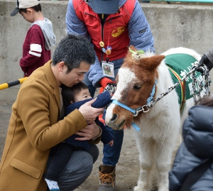 ポニーとのふれあいDSC_0138