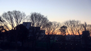 あっ森が消えた