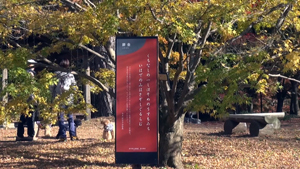 森林公園の紅葉