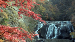 袋田の滝