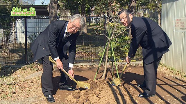 中原桃まつり