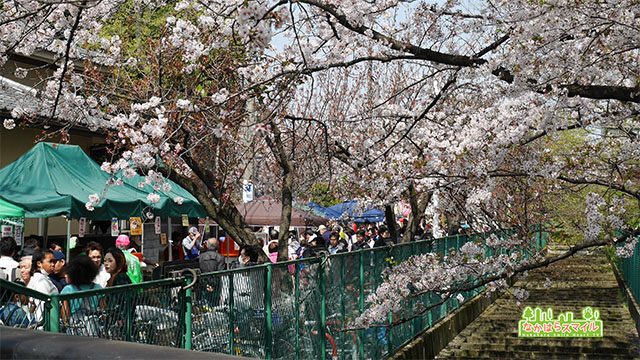 こすぎ名物花見市