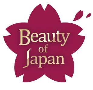 ケーブル日本ロゴ