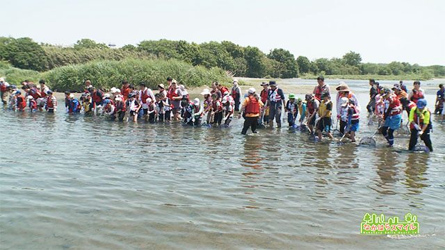 とどろき水辺の楽校