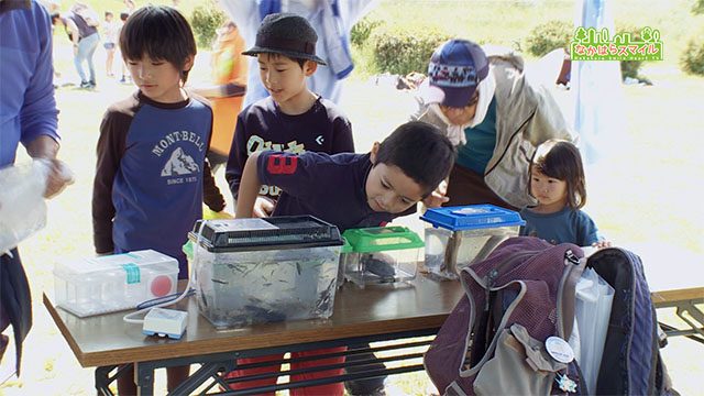 とどろき水辺の楽校