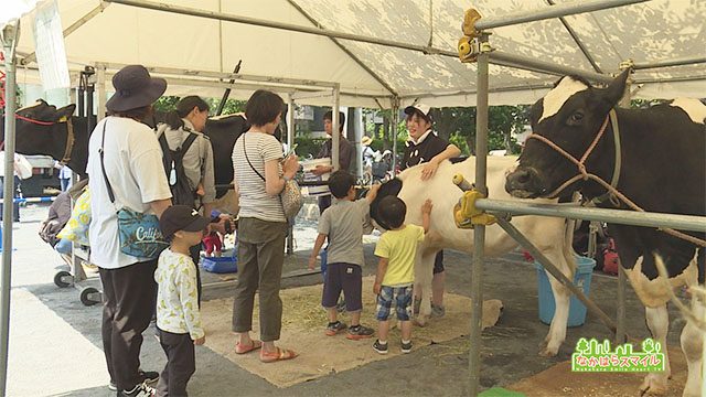 市民フェア＆川崎市畜産まつり