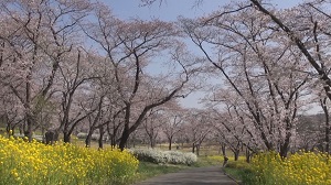 森林公園へぶらり