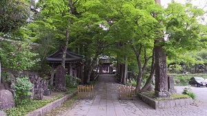 仙石原長安寺 五百羅漢と花の百花寺