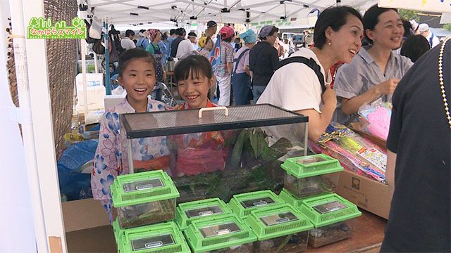 こすぎ盆踊り大会