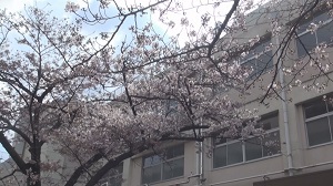 春のウォーキングラリーin田園調布