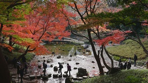 六義園・小石川後楽園の紅葉