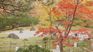 紅葉を訪ねて（山形岩手編）