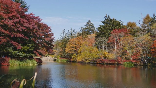 紅葉の雲場池