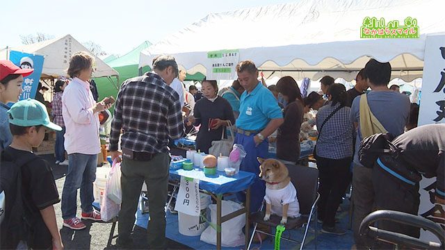 なかはらゆめ区民祭