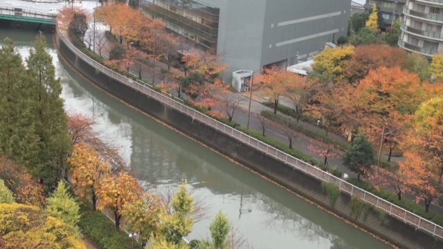 師走の大崎駅界隈
