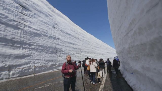 雪の大谷