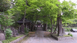 仙石原長安寺　五百羅漢と花の百花寺